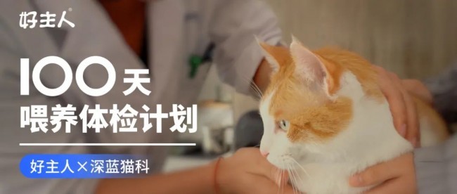 好主人100天喂養(yǎng)計(jì)劃成功收官 分階主糧引領(lǐng)精細(xì)化養(yǎng)寵趨勢(shì)(圖1)