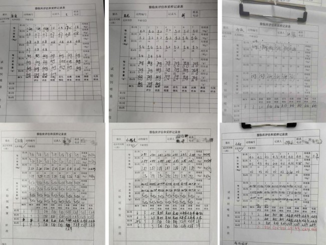 好主人100天喂養(yǎng)計(jì)劃成功收官 分階主糧引領(lǐng)精細(xì)化養(yǎng)寵趨勢(shì)(圖2)