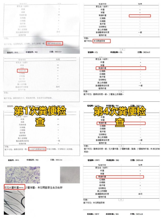 好主人100天喂養(yǎng)計(jì)劃成功收官 分階主糧引領(lǐng)精細(xì)化養(yǎng)寵趨勢(shì)(圖7)
