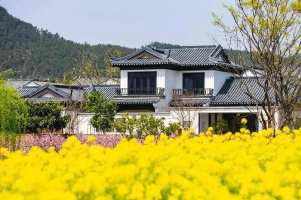 嵊州看花的地方在哪里 嵊州看花的地方在哪里