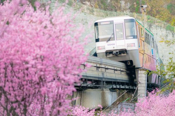 重慶開往春天的列車是幾號線 重慶開往春天的列車是幾號線