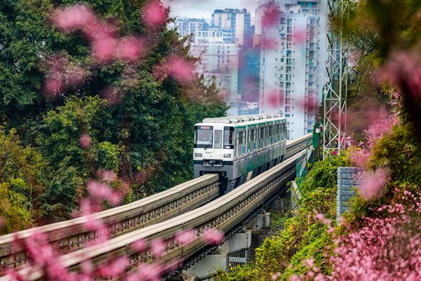 重慶開往春天的列車是幾號線 重慶開往春天的列車是幾號線
