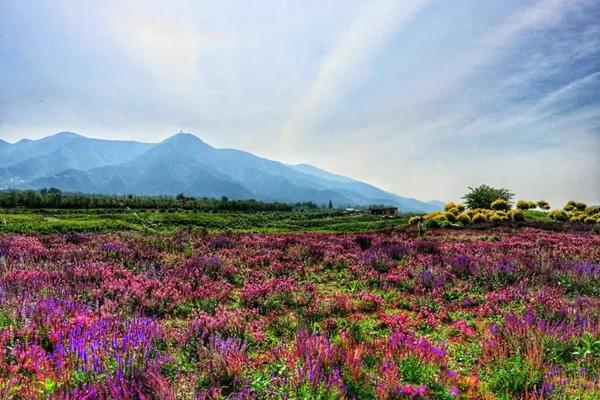 2024贛州賞花的地方有哪些 2024贛州賞花的地方有哪些