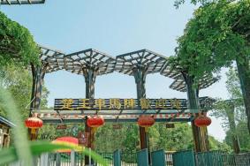 楚王車馬陣景區(qū)開放時(shí)間