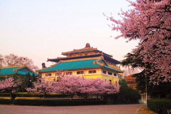 2024武大櫻花預約官網地址、門票及開放時間介紹 2024武大櫻花預約官網地址、門票及開放時間介紹