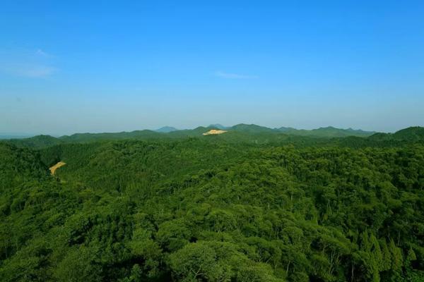 長沙縣適合踏青的景點有哪些 長沙縣適合踏青的景點有哪些