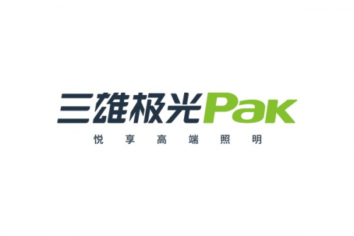雙碳先行軍！三雄極光交出“兩會(huì)”新答卷(圖8)