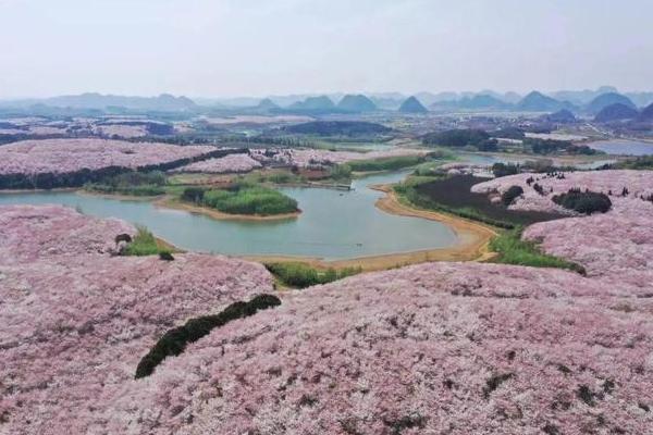 貴陽春季賞花地點有哪些 貴陽春季賞花地點有哪些