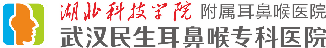 武漢民生耳鼻喉專科醫(yī)院獲評(píng)市級(jí)平安醫(yī)院創(chuàng)建示范單位！