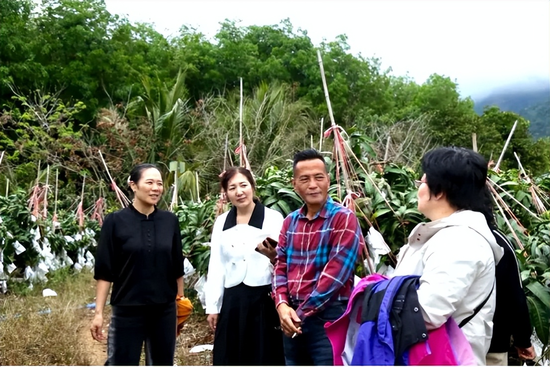 山海聯動！晉瓊康養新生態鏈，“健康家園”在海南！(圖10)