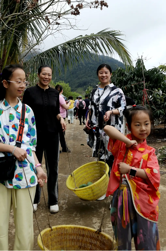 山海聯動！晉瓊康養新生態鏈，“健康家園”在海南！(圖14)