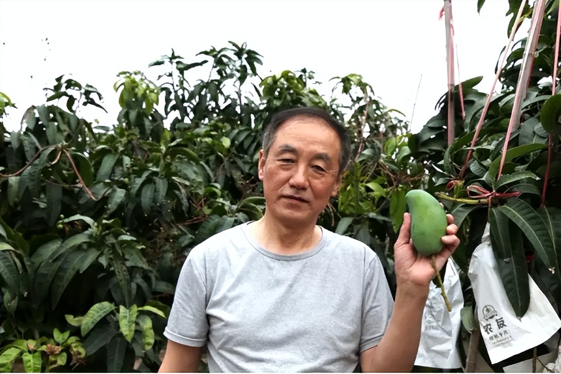 山海聯動！晉瓊康養新生態鏈，“健康家園”在海南！(圖22)